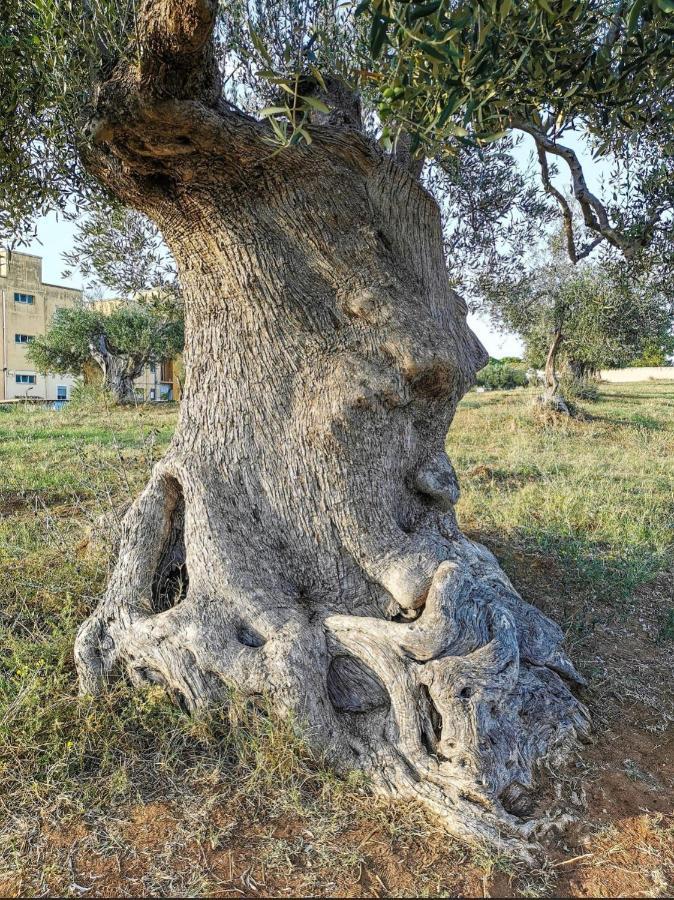 Dimora D'Errico - Monolocale Nel Centro Storico Διαμέρισμα Carovigno Εξωτερικό φωτογραφία